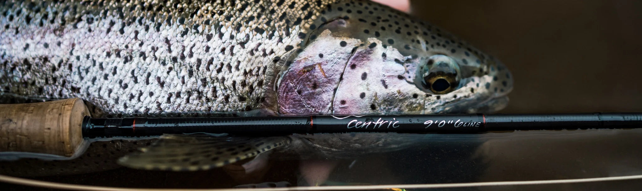 black friday fly fishing rods 1090Ti 10wt Titanium Carbon Fiber Rod Epic foot three piece fly rod Complete Fly Fishing Combo Kit:
