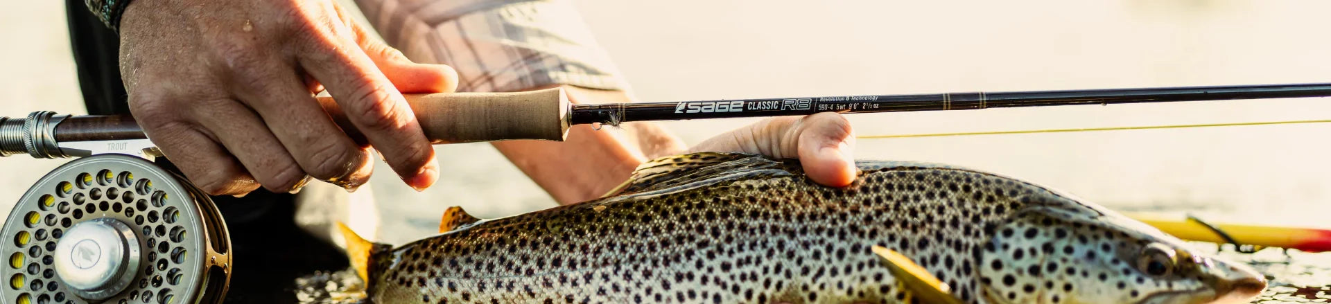 Sage Fly Rods